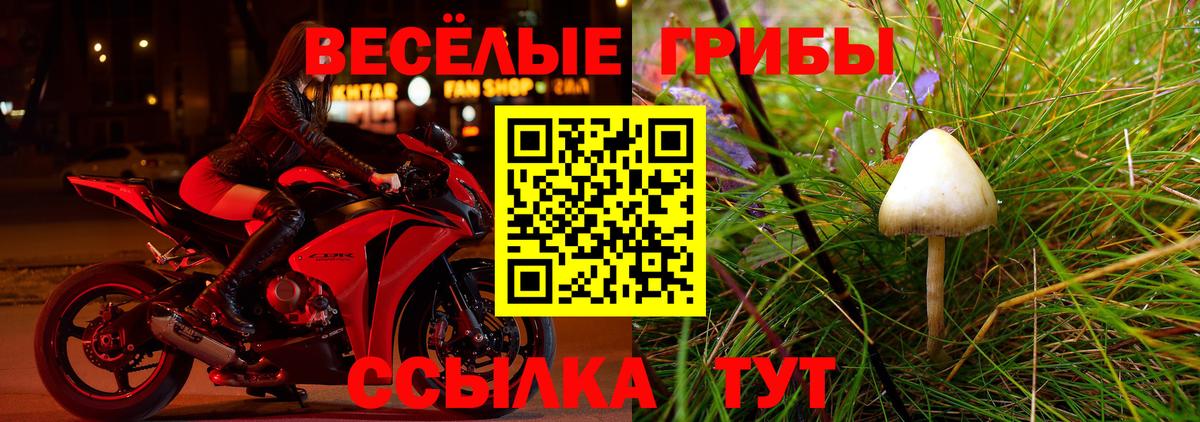 Псилоцибиновые грибы Psilocybe Реж